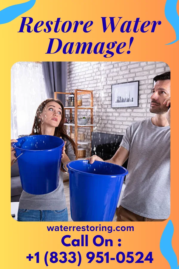 water restoration Vanguard Water Removal Contractors Sunset Bay