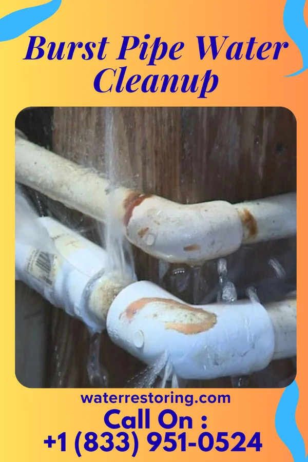 Burst Pipe Water Cleanup in Sunset Bay, NY