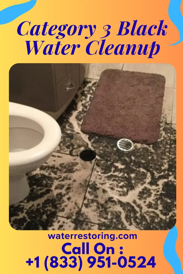 Category 3 Black Water Cleanup in Sunset Bay, NY