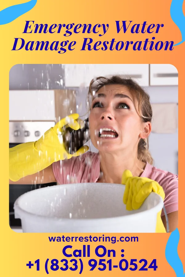 Emergency Water Damage Restoration in Sunset Bay, NY