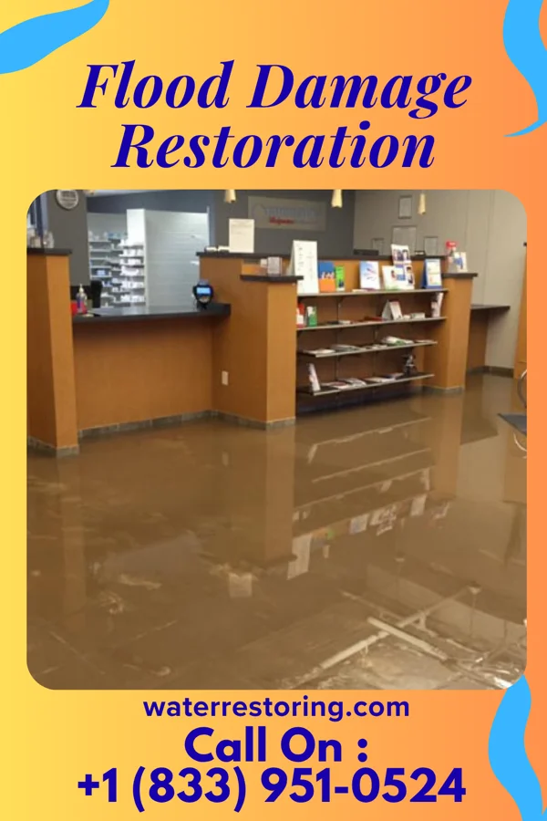Flood Damage Restoration in Sunset Bay, NY