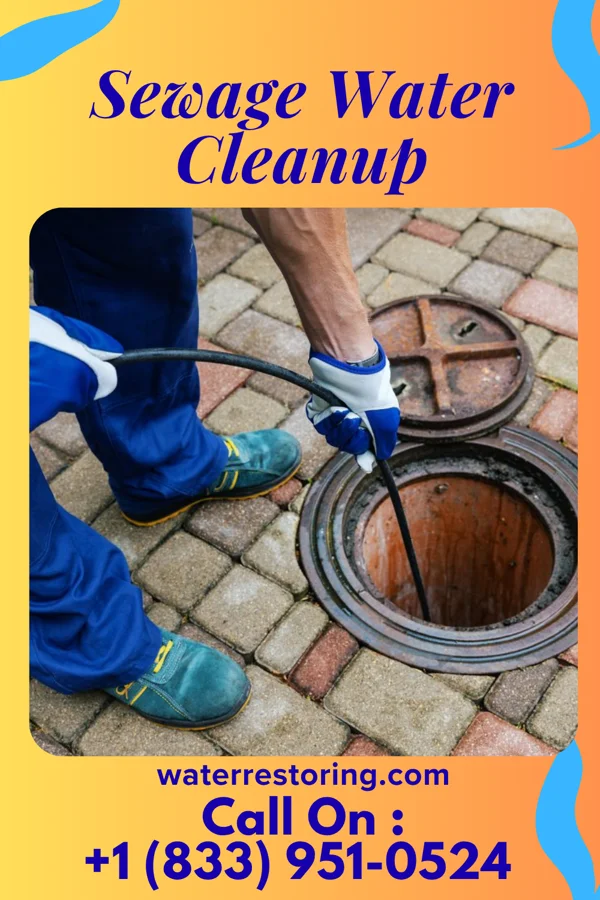 Sewage Water Cleanup in Sunset Bay, NY