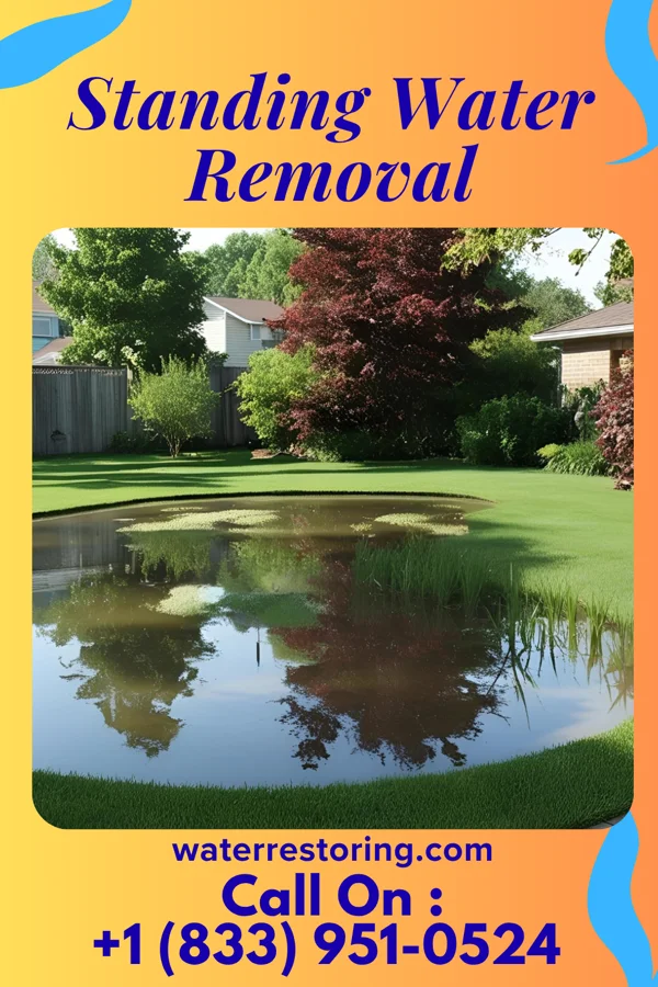 Standing Water Removal in Sunset Bay, NY